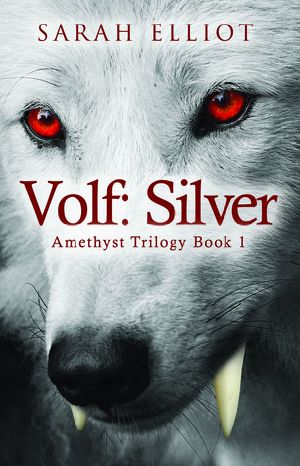 [Amethyst Trilogy 01] • Volf: Silver